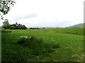 Sussex Ouse Valley Way on top of the levee