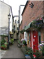 Vine Passage in Honiton