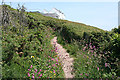 Wembury: zig-zag path