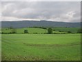 Arable land near Balquharrage