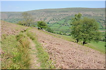 SO2729 : Footpath above the Vale of Ewyas by Philip Halling