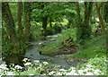 River Amber near Ashover