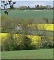 Farmland north of Rock