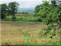 Wetland field, Boquhan