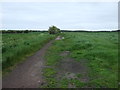 Farm track off the A1061