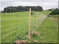 SS9942 : New deer fence, Dunster Park by Roger Cornfoot