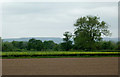 SO7204 : Farmland north-west of Slimbridge, Gloucestershire by Roger  D Kidd