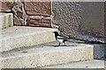 A Cheeky Magpie, Promenade Steps, Seacombe