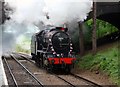 SO9525 : Stanier 8F Locomotive at Cheltenham Racecourse Station by Rob Newman
