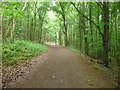 Part of the Taff Trail near Castell Coch