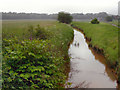 Hindsford Brook