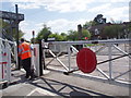 Waiting at the Level Crossing at Elsenham Station