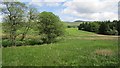 Wet farmland, Killearn