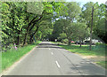 The Forest Road beside Long Row