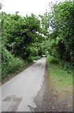 TQ5606 : Robin Post Lane near New House Farm by Julian P Guffogg