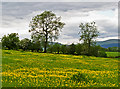 NT0396 : Farmland near Meadowhead by William Starkey