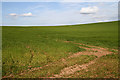 Farmland at Hardiesmill Place