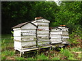 Old beehives behind Brightwell Church