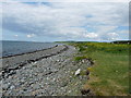 Shoreline at Port William