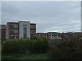 Apartments in the W.D. & H.O. Wills Building