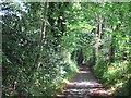 Strathblane Cycle track