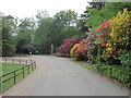 TQ1144 : The driveway to Belmont School, Holmbury St Mary by Ian S