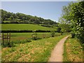 Path at Branscombe