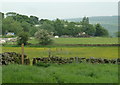 Fields near Uppertown