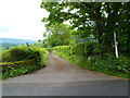 Lane to Gludy and Gludy Cottage near Cradoc