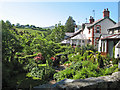 Cottage gardens, Pontwgan