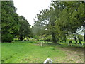 St. Mary,Tarrant Hinton- churchyard (10)