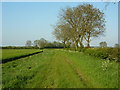 Saxby Lowlands bridleway