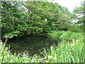 Pond at Little Binnal