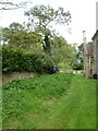 Parish church at Gussage All Saints: churchyard (4)