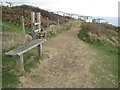 Coast path above Hive Beach