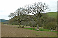 Farmland north-east of Llanafarn-fawr, Powys