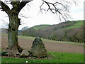 Standing stone  by Cwm Hirnant, Powys