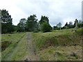 June 2012, Hollybrook Cemetery (31)