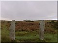 SX2571 : The Pipers standing stones by cornisharchive