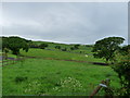 Farmland near Kirkmaiden