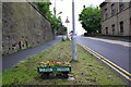 Baildon in Bloom exhibit on Browgate