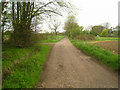 Driveway to Burkham House