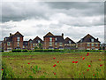 Houses on Hazen Road