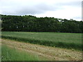 Farmland and woodland off Kexby Lane