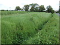 Drain beside Kexby Lane