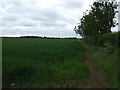 Farmland off Cliff Road