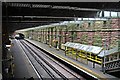 From the footbridge, Green Lane Station, Birkenhead