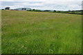 SO3913 : Farmland at Wernrheolydd by Philip Halling