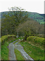 SO0259 : Farm track north-east of Newbridge, Powys by Roger  D Kidd