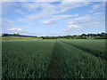 Bridleway from Acorn Bridge to Bourton